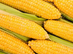 找蔬菜配送就找金六穗餐飲 西南有機(jī)蔬菜配送與餐飲管理一體化服務(wù)